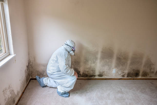 Mold Remediation for Historic Buildings