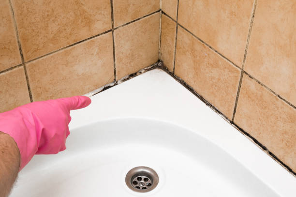 Best Residential Mold Remediation in Highland, UT